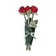 thumbnail image 1 of Bonita Muñeca De Peluche De Flores, Suave, Decoración Para El Hogar, Bonita Y Creativa, Para Esposa, Hija Y Niñas, Color Rojo, 1 of 5