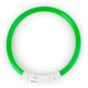 thumbnail image 1 of Collar Correa Para Perros Mascota Verde, 1 of 1