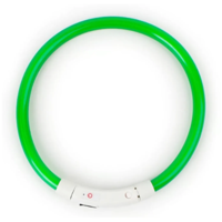 Genérico - Collar Correa Para Perros Mascota Verde