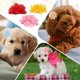 thumbnail image 5 of Uxcell Lazos de Flores para el Pelo de Perro, Collar de Flores Lindo para Mascotas con Clips de Gasa Suave, 5 of 7