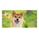 thumbnail image 1 of Shiba Inu Fondo Temático Pancarta Suministros de Decoración para Fiesta de Cumpleaños, Decoración de Fondo de Fiesta Personalizado,150x90cm, 1 of 6