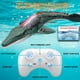 thumbnail image 4 of Juguete De Dinosaurio Mosasaurus Con Control Remoto Para Niños, 4 of 6