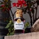 thumbnail image 5 of Perfume San Martino Rosso Velvet 100 ml Fragancia para Mujer, 5 of 9