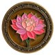 thumbnail image 2 of Moneda de Sobriedad Bliss & Beam – 60 Días Loto Serenidad, 2 of 9