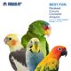 thumbnail image 4 of Apilador de pajitas Prevue Pet Products Calypso Creations para pájaros, 4 of 7