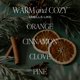 thumbnail image 2 of Vela Sweet Water Decor 255 g, frasco de vidrio ámbar, aroma invernal, 2 of 9