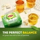 thumbnail image 3 of Bolsitas de té verde Lipton Signature Blend sin azúcar, 240 unidades, 3 of 8