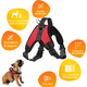 thumbnail image 3 of Arnés talla s, ajustable para perros mascotas paseo, 3 of 3