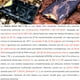 thumbnail image 2 of Ulefone Armor Pad 3 Pro - Tablet 4G Industrial IP68 Militar, 2 of 10