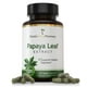 thumbnail image 1 of Suplemento de extracto de hoja de papaya de Florida Herbal Pharmacy 120 cápsulas, 1 of 2