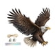 thumbnail image 1 of Adorno De águila, Regalo, Fácil De Colgar, Atractivo Letrero Plano 2D Para Patio, Granja, Estilo A, 1 of 5