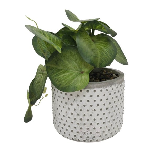 Planta Artificial peperomia