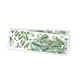 thumbnail image 1 of Calcomanía De Pared Con Plantas Verdes Mural De Pared Con Plantas Verdes Para Guardería, Sala De Juegos, Cocina, 1 of 5