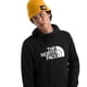 thumbnail image 3 of Sudadera con capucha The North Face Evolution Half Dome negra talla M, 3 of 3