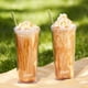 thumbnail image 5 of Cafetera Oster para Frappé con licuadora Bvstdc03b-052 Negro, 5 of 13