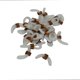 thumbnail image 4 of 25 Uds Gafas Cadena Para Gafas Soporte De Correa Extremos De Bucle De Goma 20mm, 4 of 4