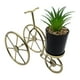 thumbnail image 2 of Figura Decorativa Bicicleta Metal Adorno Dorado Mini Planta, 2 of 7