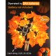 thumbnail image 3 of Guirnalda de otoño Luditek, 2 unidades, 500 cm, 40 LED, a batería, 3 of 3