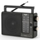 thumbnail image 1 of Radio AM/FM portátil PRUNUS J-03 con altavoz grande, 1 of 3