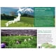 thumbnail image 4 of Matcha Tea TEA-HAVA Mezcla Ceremonial Superior 30 g, 4 of 8