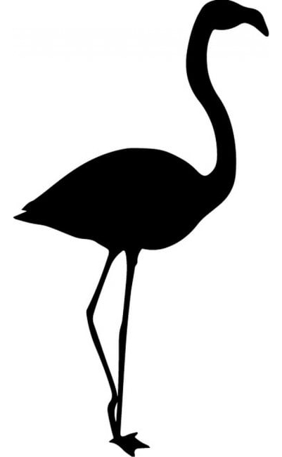 Rienda Libre Graphics - Decomural Flamingo Bird Ws-33495