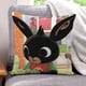 thumbnail image 1 of Bing Fundas de almohada de terciopelo con tema, regalos de funda de almohada, decoración para el hogar, cojín de lanzar, regalo de cumpleaños para fans y parejas.30*30cm., 1 of 6