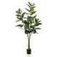 thumbnail image 1 of Planta Artificial Ficus Lyrata Premium 180 cm. / 88 Hojas, 1 of 6
