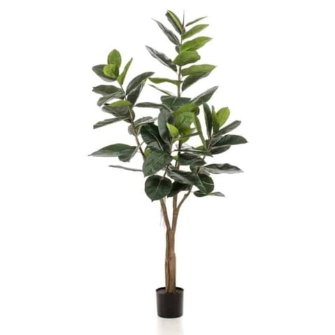 Arbusto Real - Planta Artificial Ficus Lyrata Premium 180 Cm. / 88 Hojas