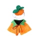 thumbnail image 3 of Capa De Calabaza Para Gato Para Halloween, Disfraz De Gato Para Halloween Para Perros, Conjunto De Capa De Calabaza Para Cosplay De Halloween, 3 of 3