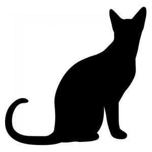 Rienda Libre Graphics - Decomural Black Cat Animals Pets Pack Ws-33054