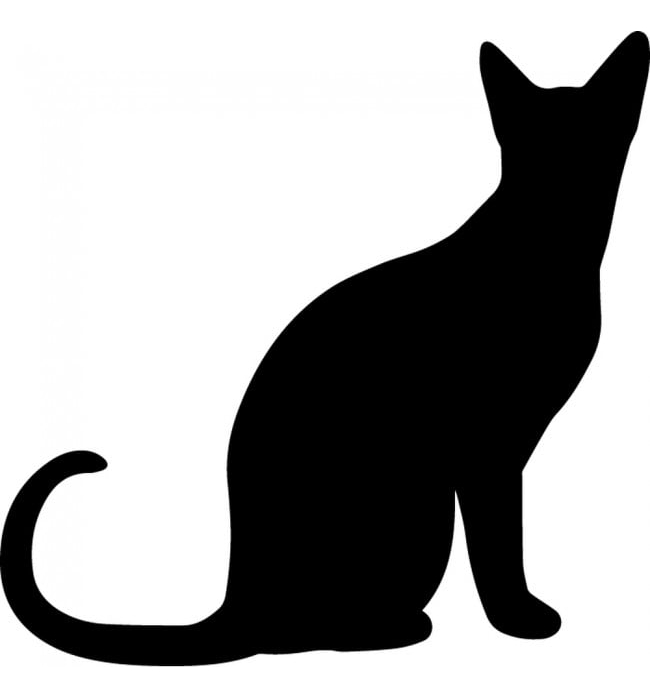 Rienda Libre Graphics - Decomural Black Cat Animals Pets Pack Ws-33054