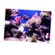 thumbnail image 5 of Póster De Paisaje De Pecera De Acuario 3D, Fondo De Pared De Pecera, 76x56cm, 5 of 5