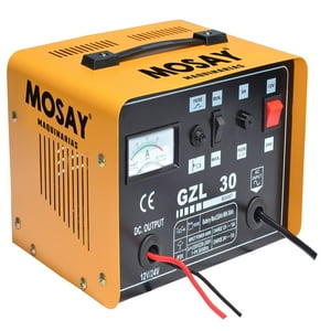 Cargador De Bateria 12V/24V Mosay Gzl 30