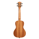 thumbnail image 4 of Ukelele Kala Learn to Play Concierto Started Pack Kala Ltp-c, 4 of 5