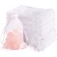 thumbnail image 1 of 100Pcs Organza Bags 4x6 Small Mesh Gift Bags with Drawstring, 1 of 3