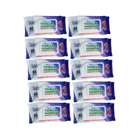 Pack 10 Toallitas Desinfectantes Teddy 800 Unidades