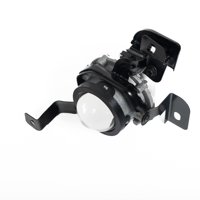 Alternativo Chino - Neblinero Izquierdo Rio 2017 2018 2019 2020 2021 2022 Negro