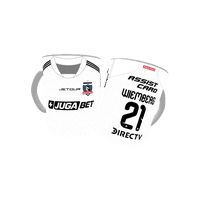 Arumi - Tazon Taza Colo Colo Wiemberg 2026 Local