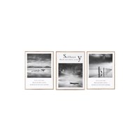 Vgo - Set 3 Cuadros 30X40 Mad C/Lam Neg 30X40