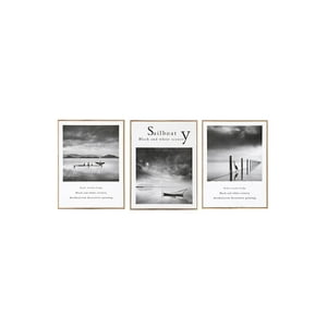 Vgo - Set 3 Cuadros 30X40 Mad C/Lam Neg 30X40
