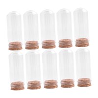 Bothyi - 10 Cúpulas De Vidrio A Prueba De Polvo Para Arreglos Florales Y Almacenamiento De Plantas, 30 Mm X 70 Mm