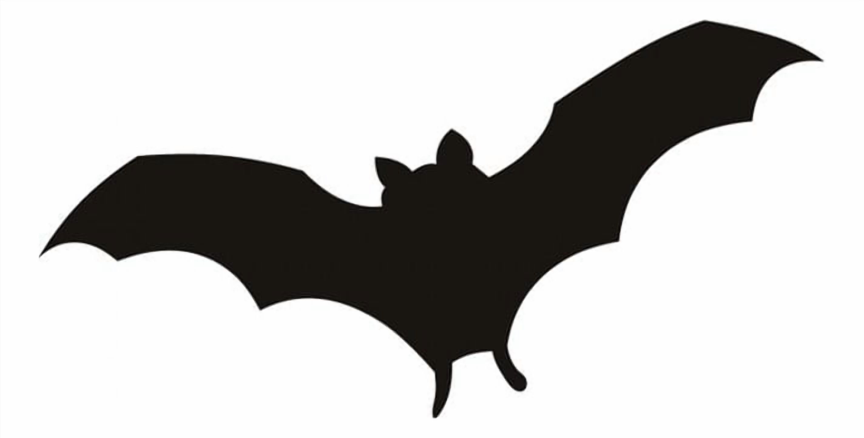 Rienda Libre Graphics - Decomural Vampire Bat Halloween Ws-17102