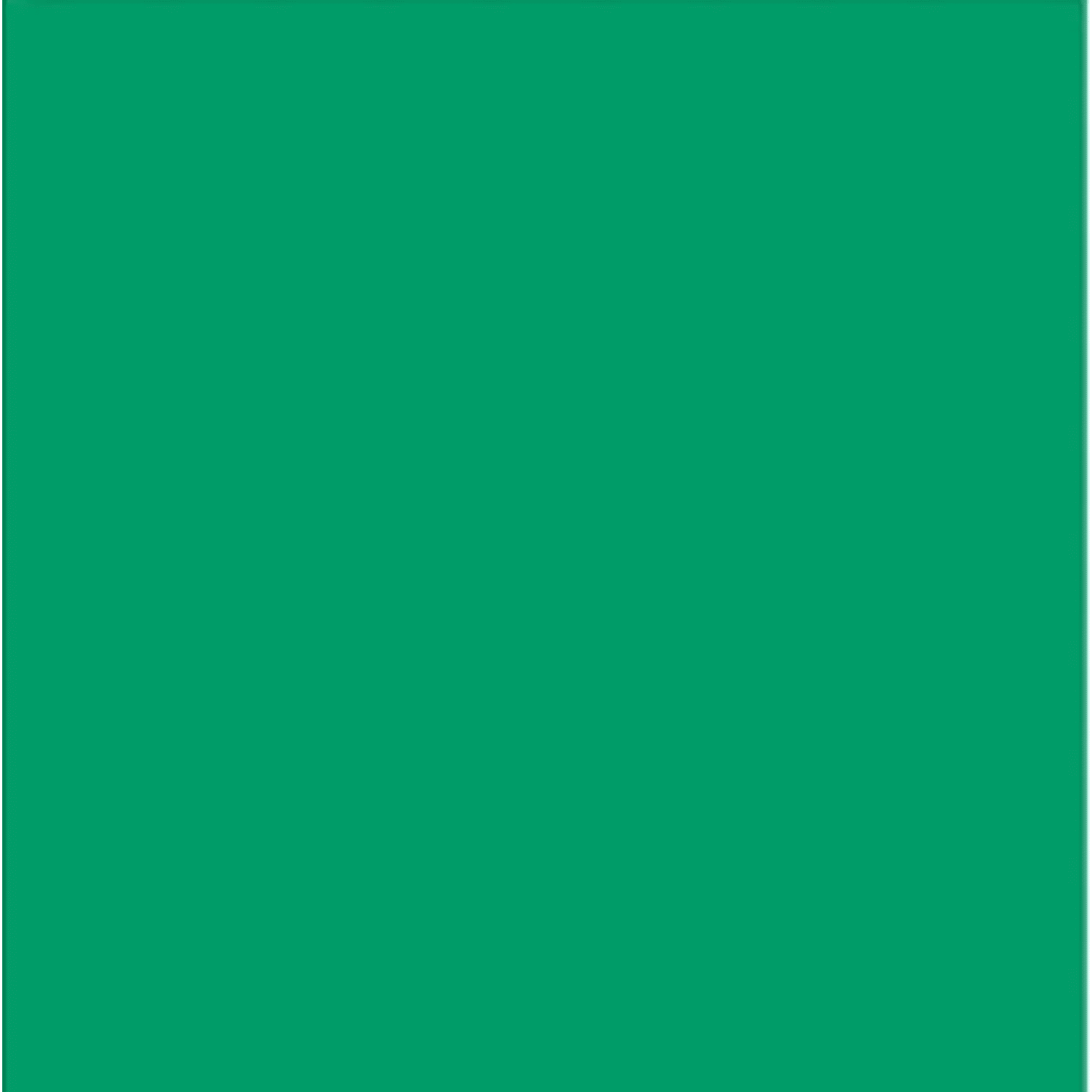 Genérico - Pliego Cartulina Doble Faz 50x70 Cm Manualidades Verde Oscuro