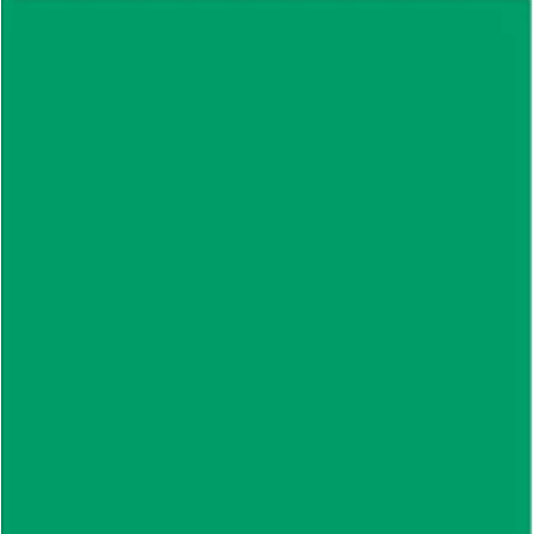 Genérico - Pliego Cartulina Doble Faz 50X70 Cm Manualidades Verde Oscuro