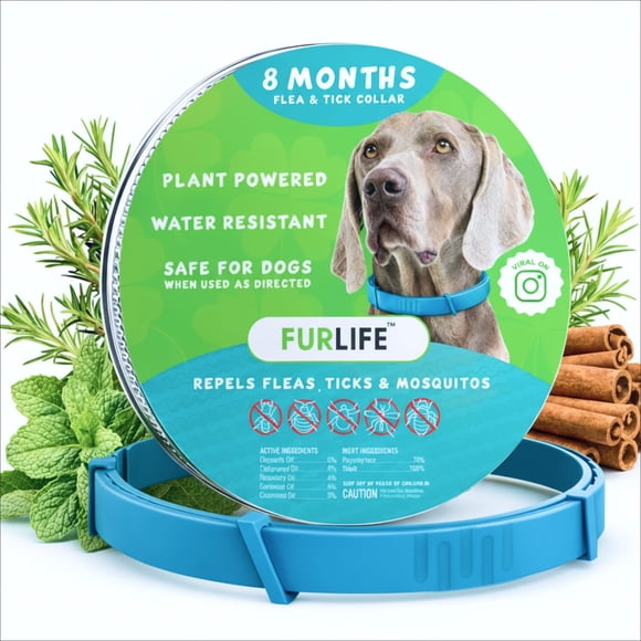 Collar antipulgas y antigarrapatas FurLife impermeable azul ajustable
