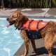 thumbnail image 5 of Chaleco salvavidas para perros Outward Hound Granby Splash naranja, tamaño grande, 5 of 9