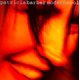 thumbnail image 1 of Álbum Modern Cool de Premonition Records, 1 of 1