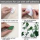 thumbnail image 5 of 30 clips autoadhesivos para fijación de plantas trepadoras, invisibles, para jardín, con forma de hoja, para fijación de cables, decoración del hogar., 5 of 7