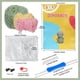 thumbnail image 2 of DIY Crochet Starter Kit - 7 Essential Items for Beginners - Beanie Balls, Needles, Markers, Yarn Needles, Stitch Markers, Eyes & Stuffers!, 2 of 4