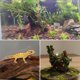 thumbnail image 5 of Madera flotante para acuario emours – grande, 23‑30 cm, madera natural, 5 of 9